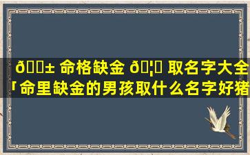 🐱 命格缺金 🦉 取名字大全男「命里缺金的男孩取什么名字好猪年」